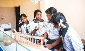 Brighton School And PU College Gallery 4