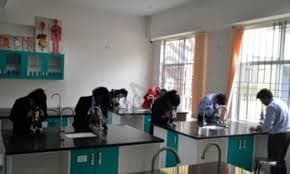 Asia Pacific World School Gallery 2