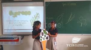 The Cambridge International School - Whitefield Gallery 5