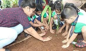 Kohinoor Blossoms Gallery 1