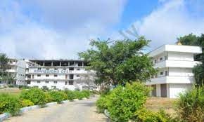 Sunrise International Academy Gallery 5