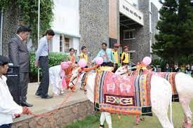 Sharad Pawar International School Gallery 2