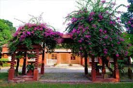 Rajghat Besant School Gallery 2