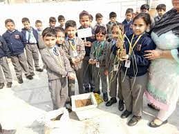 Happy Senior School Gallery 12