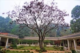 Rajghat Besant School Gallery 5