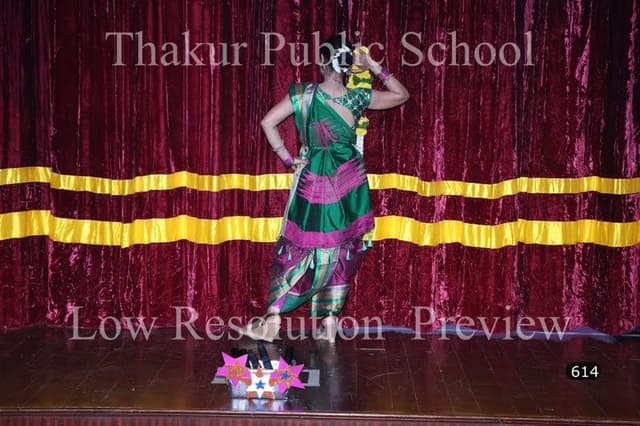 Thakur Public School Gallery 6