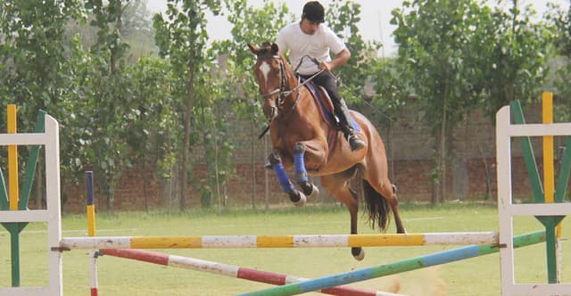 Shreejee International School Gallery 8