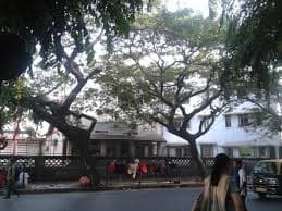 Dr. Antonio da Silva High School & Jr. College Of Commerce Gallery 2