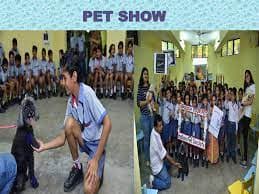 Deep Public School Gallery 0