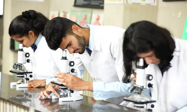 Universal High School Gallery 1