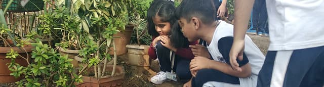 Smt. Sunitidevi Singhania School Gallery 1