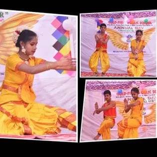 Gold Field Public School Gallery 24