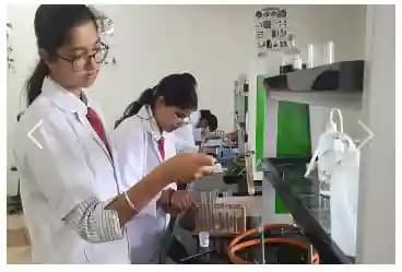 National Public School Gallery 6