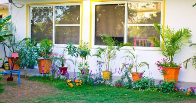 Wisdom Worth Preschool & Daycare Gallery 2