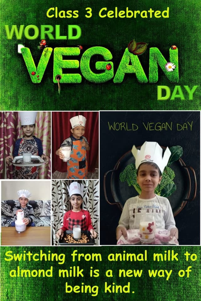 Mamta Modern Senior Secondary School Gallery 21