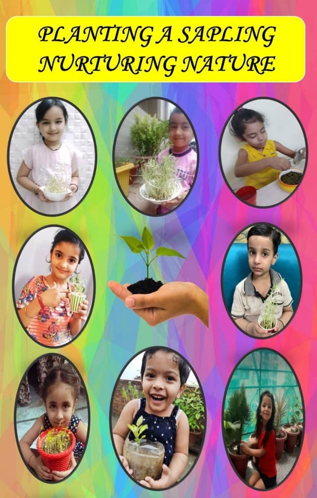 Mamta Modern Senior Secondary School Gallery 20