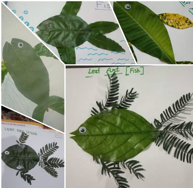 New Creations Public School Gallery 15