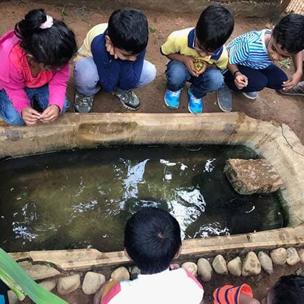 The Montessori School Gallery 0