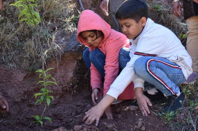 The Plenum School Gallery 12