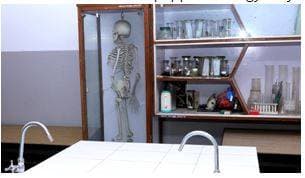 M G M Co-Ed Higher Secondary School Gallery 5