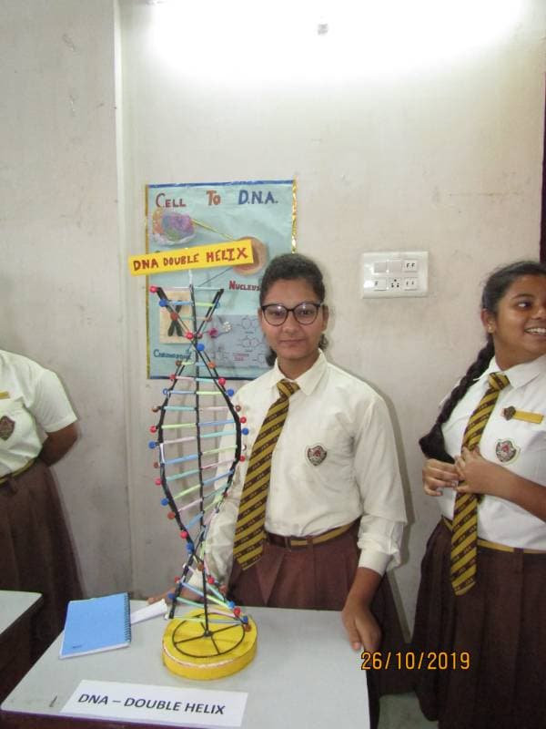 Julien Day School Gallery 4