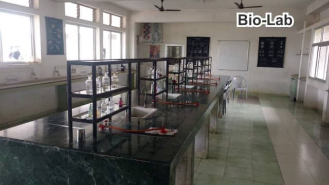 National Public School Gallery 14