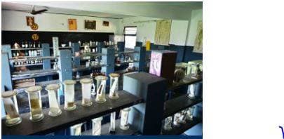 Mother Teresa Senior Secondary Co-Ed School Gallery 6