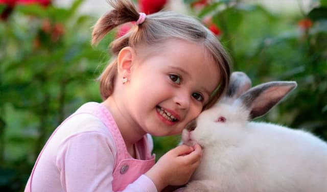 Champion International School Gallery 8