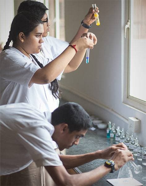 National Public School Gallery 8