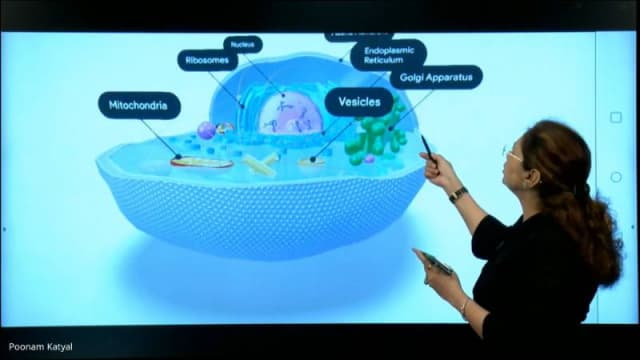 Delhi Model Virtual School Gallery 5