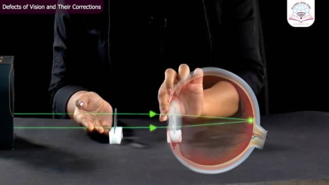 Delhi Model Virtual School Gallery 9