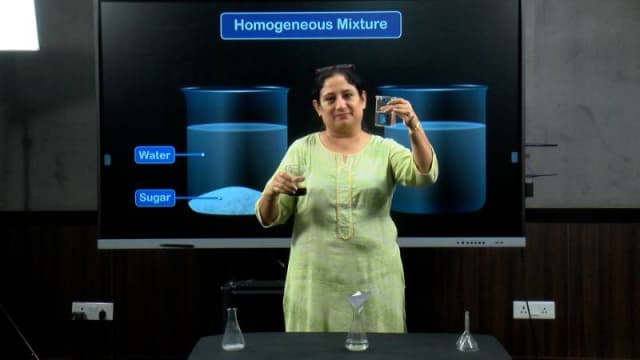 Delhi Model Virtual School Gallery 3