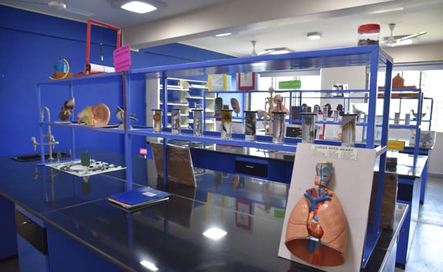 Viraj International School Gallery