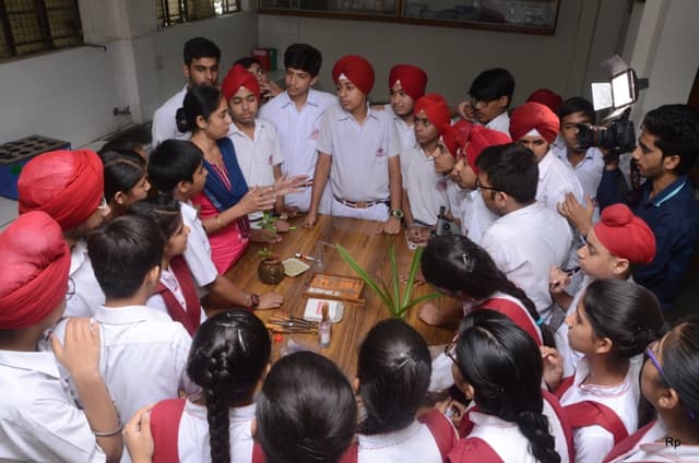 Guru Nanak Public School Gallery