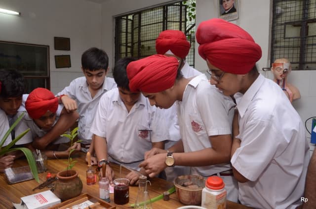 Guru Nanak Public School Gallery