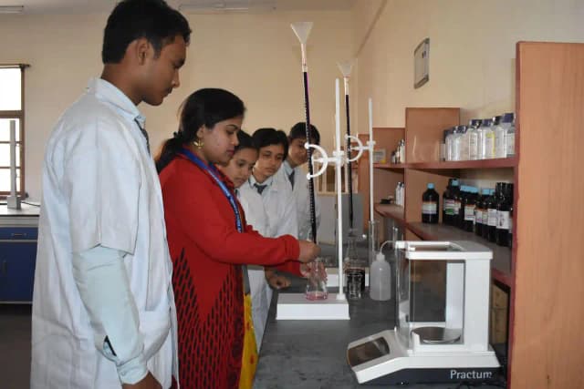 St. Luigi School Gallery