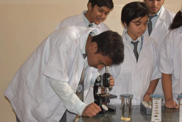 St. Luigi School Gallery