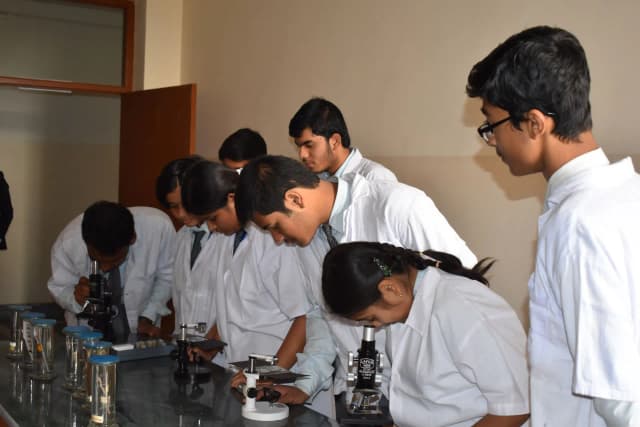 St. Luigi School Gallery