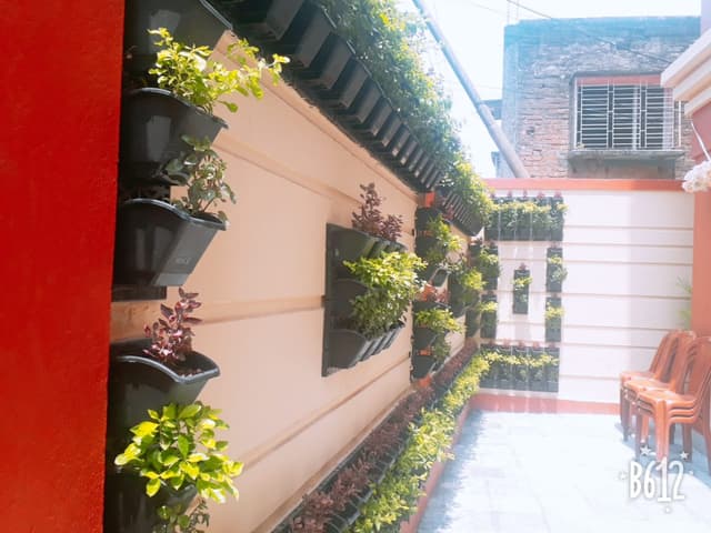 New Vista Academy Gallery