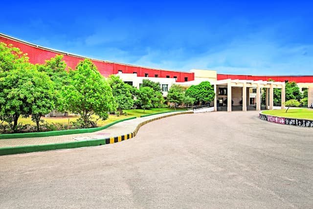 International Public School Gallery