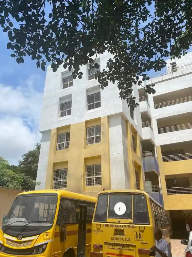 Angel Mickey Minie School Gallery