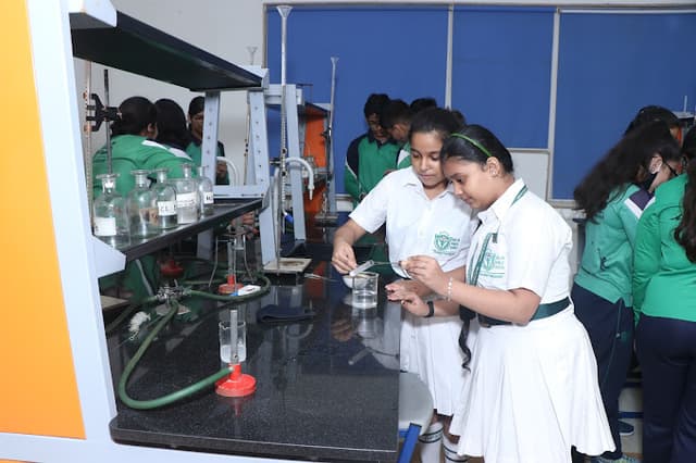 Delhi Public School Gallery