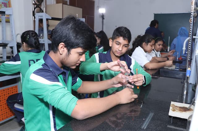 Delhi Public School Gallery