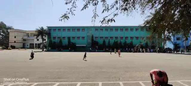 Flying Birds School Gallery