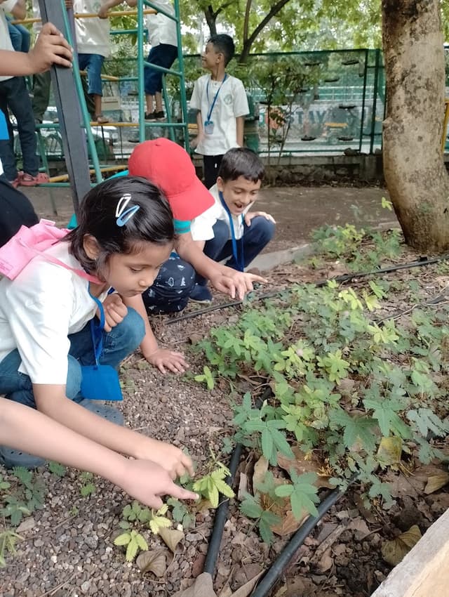 Kalpa Vriksha Academy Gallery