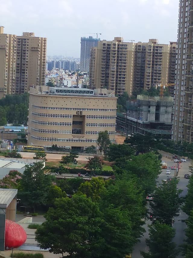 Chrysalis High Gallery