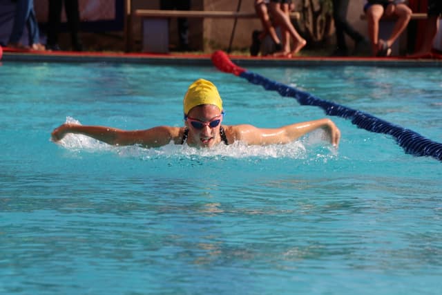 Treamis World School Gallery