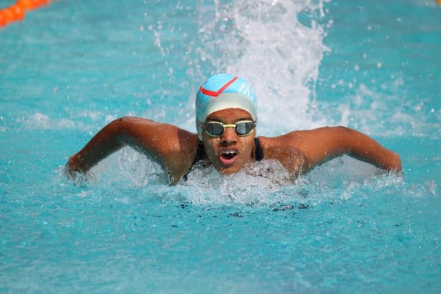 Treamis World School Gallery