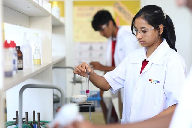 VIBGYOR High School Gallery