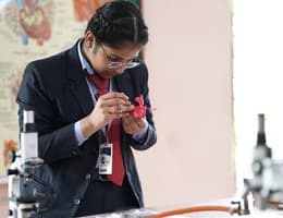 SFS Public School Gallery